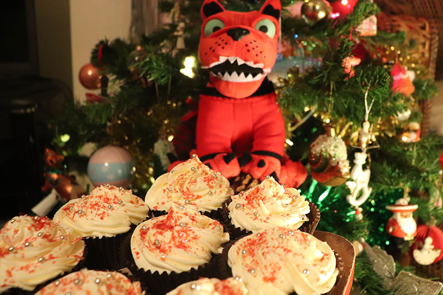 How to make Rocking Vegan Christmas Cupcakes