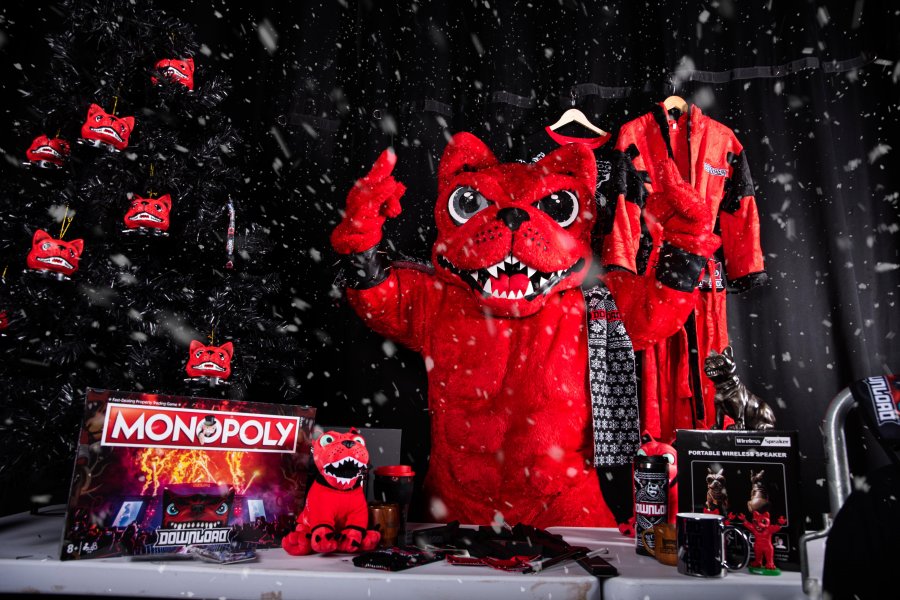 Download Christmas Gift Guide