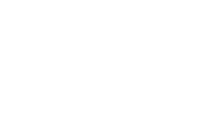 Logo for: Nordic Spirit