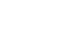 Logo for: Pepsi Max