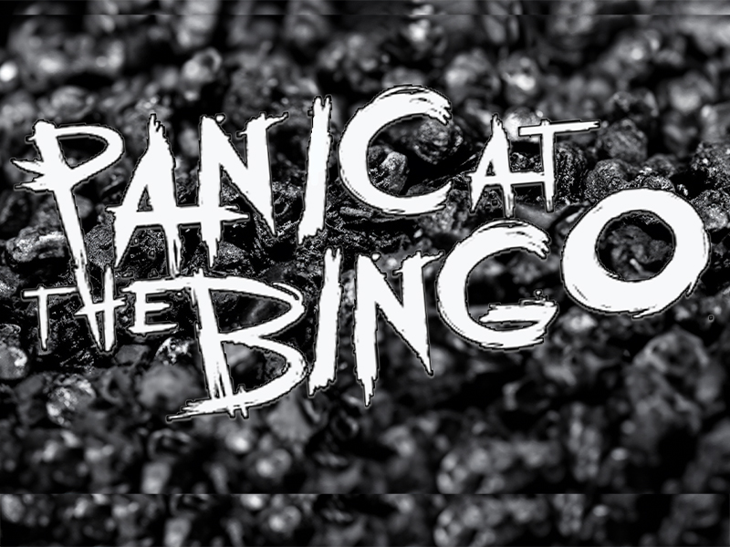 Artist profile image for: Panic! At The Bingo