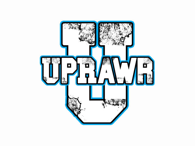 Artist profile image for: Uprawr