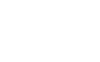 Logo for: PayPal