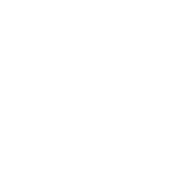 Nordic Spirit logo